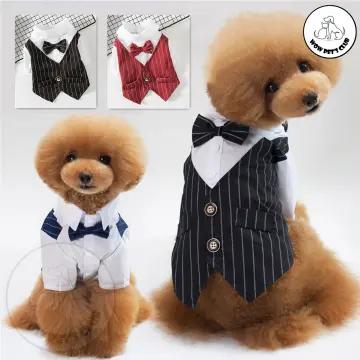 Male dog formal outlet wear