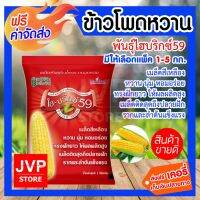 (promotion++) **ส่ง**เมล็ดพันธุ์ข้าวโพดพันธุ์ แพ็คละ 1กก มีให้เลือกพันธุ์ ไฮบริกซ์59/ไฮบริกซ์ 81/ไฮบริกซ์ 3/สวีทไวโอเล็ต/สวีทไวท์ สุดคุ้มม ต้นไม้ ฟอก อากาศ กระถาง ต้นไม้ ไม้ ประดับ ต้นไม้ ปลูก ใน บ้าน