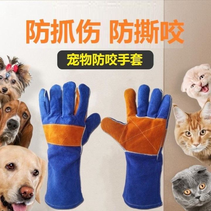 high-end-original-snapping-turtle-anti-gnawing-anti-squirrel-anti-bite-gloves-golden-retriever-training-dog-anti-cat-scratch-safety-laboratory-anti-scratch-anti-scratch