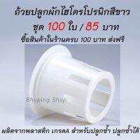 ส่งไว!! ขายถูกมาก!! ถ้วยปลูกไฮโดรโปรนิกส์ ชุด 100ใบ   #ถ้วยปลูก #ถ้วยปลูกผักสลัด รับประกันหนา ทนทานไม่แตก คุ้มค่าใช้ซ้ำได้หลายครั้ง