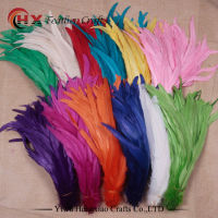 Factory wholesale 50pcs/lot colored rooster tail feather colorful 30-35cm(12-14inch) for decorate