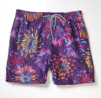 Summer Vilebrequins Mens Beach Shorts Quick-drying Swimwear Shorts Casual Shorts for Male