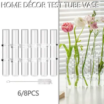 Hinged Flower Vase Test Tube, 8pcs Test Tubes Flower Vases Plant