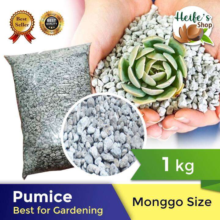 Pumice stone for plants 1kg. ( 👉🏻monggo size 👈🏻 ) 👉 Rich in Minerals