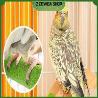 ZZEWEA SHOP Frosting Parrosting Parrots บันไดสาขาสึกหรอและกันน้ำตาการกัดกร่อนขั้วสถานีฝ้าสะดวก Woodiness Claw บันไดสำหรับปีน Parrots