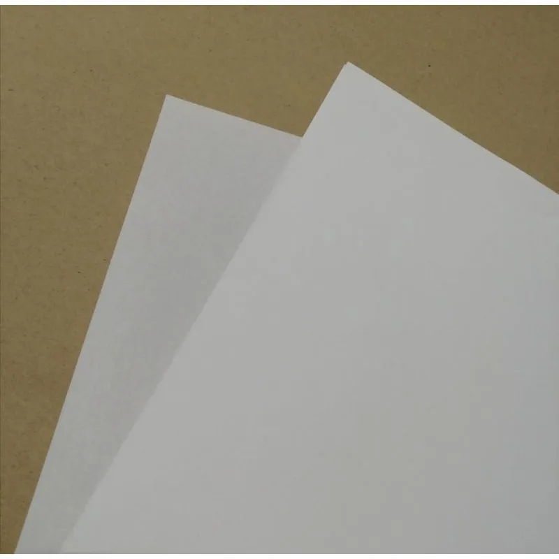 100pcs Onion Skin/ Onionskin paper A4/Short/Long Bond Paper Size for  wrapper, etc