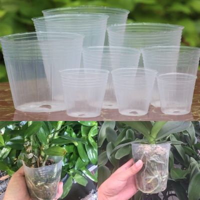 10PCS Transparency Nursery Pots Grow Planting Nutrition Cup Orchid Propagation Container Seedling Raising Bags Garden Supplies