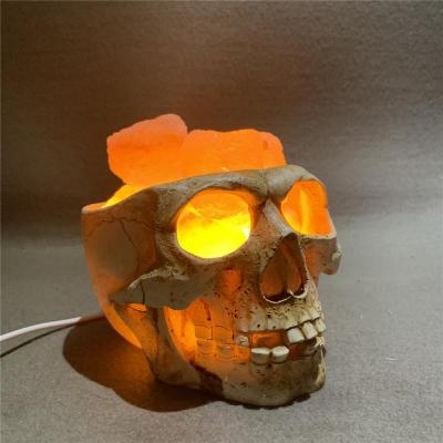 LED Table Lamp Skull Salt Stone Lamp Horror Ghost Head Shaped Night Light USB Indoor Lighting Household Lighting