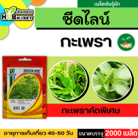 ซีดไลน์ ?? กะเพราคัดพิเศษ SL ขนาดบรรจุประมาณ 2000 เมล็ด อายุเก็บเกี่ยว 40-50 วัน