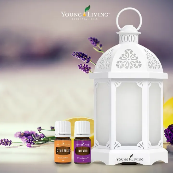 Young Living Lantern Diffuser Lazada PH