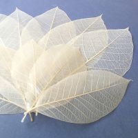 YOMDID 50Pcs /bag White Color Natural Skeleton Leaf Dry Leaves Scrapbooking Girl Diy Material for Christmas Home Decorative