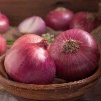 200pcs Red Onion seeds Home Garden Planting Allium Vegetables Plants (ต้นไม้มงคล ต้นไม้ประดับ พันธุ์ดอกไม้ เมล็ดพันธุ์ดอกไม้ flower seeds เมล็ดพันธุ์พืช เมล็ดผัก ผักสวนครัว บอนไซ )