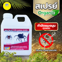 สเปรย์ไล่แมลงมุม กำจัดแมลงมุม ป้องกันแมลงมุมชักใย ยึดบ้าน ชนิด ออแกนิค แบบเติม 1 ลิตร ไร้สารพิษเคมีปลอดภัยต่อเด็กและสัตว์เลี้ยง