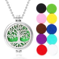 New Aromatherapy Jewelry of Necklace Oils Diffuser Locket Pendant with 10pcs