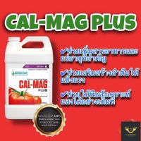 [Ready stcok]⭐⭐⭐⭐Cal Mag Plus Botanicare อัดแน่นด้วยแคลเซียมและแมกนีเซียม ของแท้ 100% (ไม่เจือจางแน่นอน!!)⭐⭐⭐⭐⭐⭐ส่งฟรี