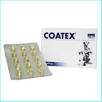 Coatex 60 caps อาหารเสริม บำรุงขนและผิว แบบเม็ด สำหรับสุนัข บรรจุ 60 เม็ด เลือก 1 ชิ้น สัตว์ หมา แมว สุนัข ตู้ปลา อุปกรณ์ บ้าน เตียง