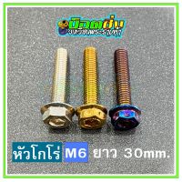 น็อตสแตนเลส หัวโกโร่ ขนาดเกลียว m6 ยาว 30 mm.