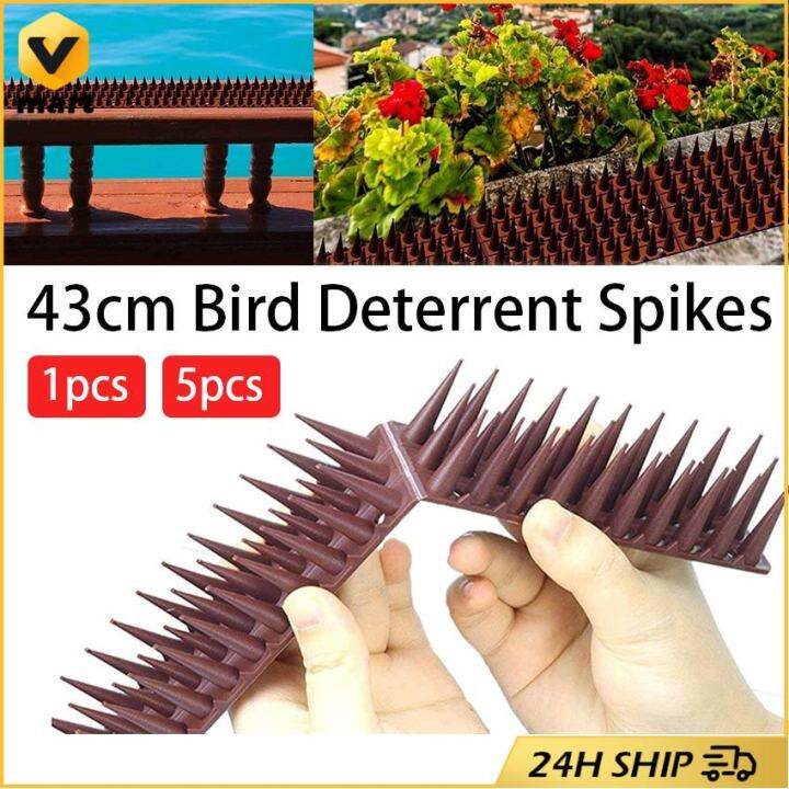 Plastic Bird And Pigeon Spikes Anti Cat Anti Pigeon Spike For Get Rid ...