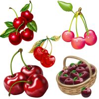 Three Ratels CO26 Fresh red cherry Fruit Cartoon Wall Sticker for home DecorationToilet Decals Waterproof self pasting Refrigerator Parts Accessories