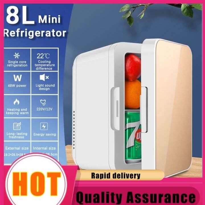 8L Mini Refrigerator Portable Cosmetic Refrigerator with freezer