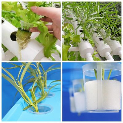 ；【‘； 20Pcs/Lot Hydroponic Basket Garden Vegetable Soilless Grow Net Pot Greenhouse Plant Clone Grow Pots Net Nursery Cups