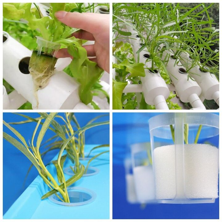 50pcs-hydroponic-sponge-garden-vegetable-soilless-cultivation-growing-media-sponge-hydroponic-baskets-planting-sponge