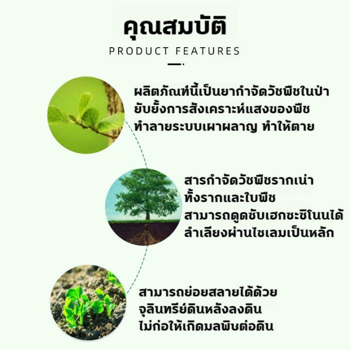 ยากำจัดต้นไม้-สารกำจัดกอไผ่-500g-สูตรเข้มข้น-ใช้1โดส-รากเน่า-ผลอยู่ได้นาน-ไม่เป็นอันตรายต่อดิน-ผงกำจัดต้นไผ่-ยาฆ่าตอไม้-ยากำจัดกอไผ่-กำจัดต้นไม้-กำจัดกอไผ่-ผงกำจัดกอไผ่-ปุ๋ยกำจัดกอไผ่-สารกำจัดต้นไม้-ย