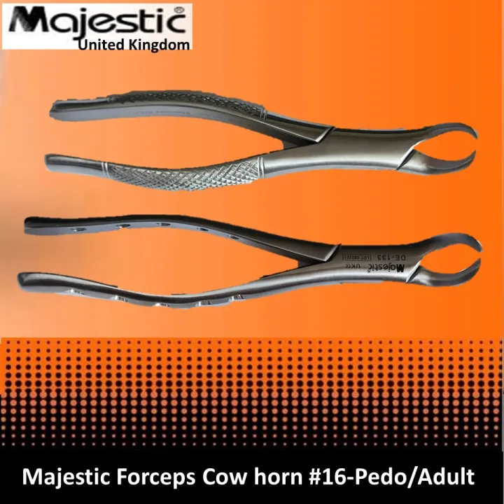 Majestic Extraction Forceps16 Pedo/Adult Cow Horn Mandibular First