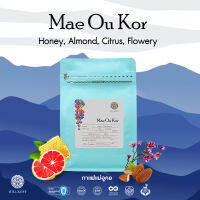 HILLKOFF : Mae Ou Kor Arabica Specialty Roasted เมล็ดกาแฟคั่ว กาแฟ อาราบิก้าแท้ 100% อราบิก้า สเปเชียลตี้ แม่อูคอ ขนาด 200 กรัม