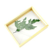 Frames for Pictures Creative Wood Double Sided Plant Specimens Photo Frame DIY Wall Art Home Room Desktop Decoration Ornament