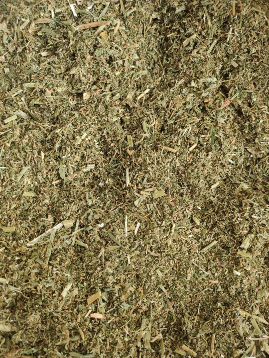 ผงหญ้าอัลฟาฟ่า-เหมาะสำหรับทำคุกกี้สำหรับกระต่าย-เป็นอาหารสำหรับเต่า-หรือนก-ขนาด-1-kg