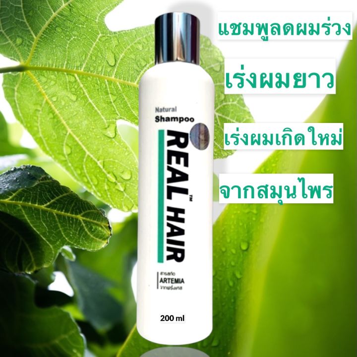 real-hair-แชมพูขจัดไขมันอุดตันรากผม-สาเหตุที่ผมร่วงแล้วไม่เกิดใหม่