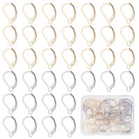 60Pcs 2 Colors 304 Stainless Steel Leverback Earring Findings Mixed Color 16.5x10x2mm Pin: 1mm 30pcs/color