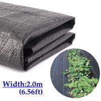 สิ่งทอป้องกันคลุมดินวัชพืชสำหรับการเกษตรเหยื่อล่อปลาไฟฟ้า PP 90Gsm 6.56Ft กว้าง2ม. การปลูกผัก