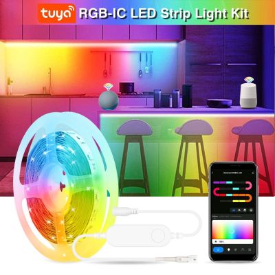 Tuya WS2811 RGBIC Led Lights 30Leds/M Smart Life Wifi 5050 RGBIC Led Strip Lights Addressable Dream Light Support Alexa Google LED Strip Lighting