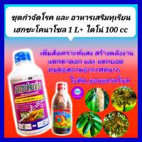 ชุด กำจัดโรค อาหารเสริมทุเรียน เฮกซะโคนาโซล 1 L +ไดโน่ อาหารเสริมพืช ธาตุอาหารรอง100 cc  ใบติด สังเคราะห์แสง ใบเขียว แตกยอด ดอก ขั่วเหนียว