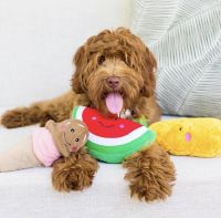 ZIPPYPAWS USA ของเล่นสุนัขพรีเมี่ยม รูปแตงโม บีบแล้วมีเสียง นำเข้าจากอเมริกา