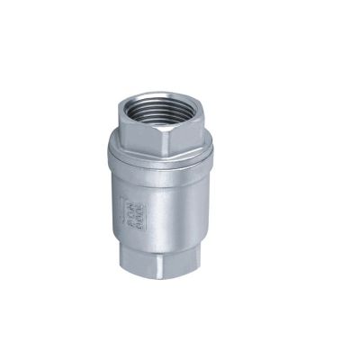BSPT 3/4 quot; DN20 Stainless Steel SS304 Check Valve 1000 WOG Thread In Line Spring Vertical Control Tool
