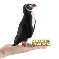 Animal Kingdom - โมเดล Penquin นก เพนกวิ้น กาลาปากอส ขนาด 16.00 CM (จากสงขลา)