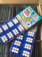 Japans Kobayashi Pharmaceutical Kitchen Pipeline Cleaning Pills 48 Capsules