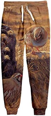 VIZANLY Hunting Partridge 3D Printing Mens and Womens Fashion Spring Trousers Street Sweatpants 13 4XL