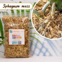 สแฟกนั่มมอส Sphagnum moss ตัวกักเก็บความชื้น ขนาด 50 กรัม