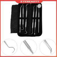 ETEREAUTY 6Pcs Professional Hygiene Calculus Plaque Remover พร้อมกล่องเก็บของ