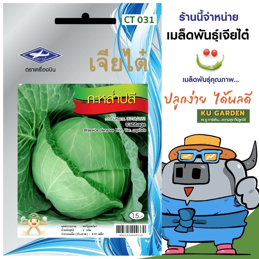 CHIATAI 🇹🇭 ผักซอง เจียไต๋ กะหล่ำปลี O031 ประมาณ 440 เมล็ด เมล็ดพันธุ์ เมล็ดพันธุ์ผัก ผักสวนครัว ผักเจียไต๋ ตราเครื่องบิน