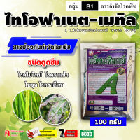 ไทโอฟาเนต-เมทิล ? ( 100g ) สารป้องกันกำจัดโรคพืช เชื้อรา ใบไหม้ ใบจุด ราน้ำค้าง ราเข้าขั้ว ราแป้ง ข้าว พืชผัก พืชไร่ ไม้ผล พืชตระกูลส้ม