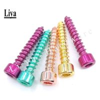 10pcs M3M4M5M6 Stainless Steel 304 cylindrical inner hexagon self-tapping screw speaker speaker screw cup head wood tooth screw Nails Screws  Fastener