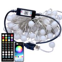 10M Silica gel Christmas Wedding Party Decoration Light WS2812B Addressable Individually RGB LED String USB Bluetooth Control