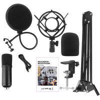 Studio Microphone Kits Condenser Microphone Bundle Stand Karaoke Mic Filter Phantom 192KHZ/24BIT