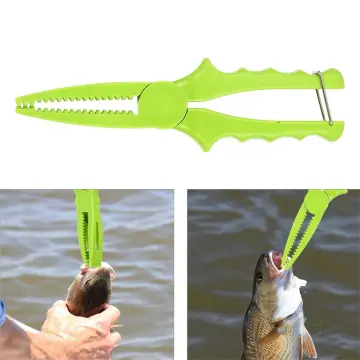 The Most Innovative Fishing Tools and Accessories for Catch