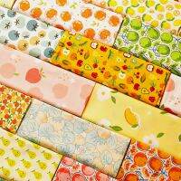 160x50cm Cotton Chino Fruit Pineapple Strawberry Peach Dress Cloth Bed Sheet Tablecloth Handmade Shell Fabric